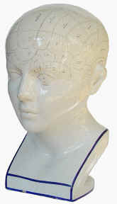 phrenology bust, Derby.1.jpg (69885 bytes)