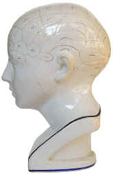 phrenology bust, Derby. side left.jpg (72880 bytes)